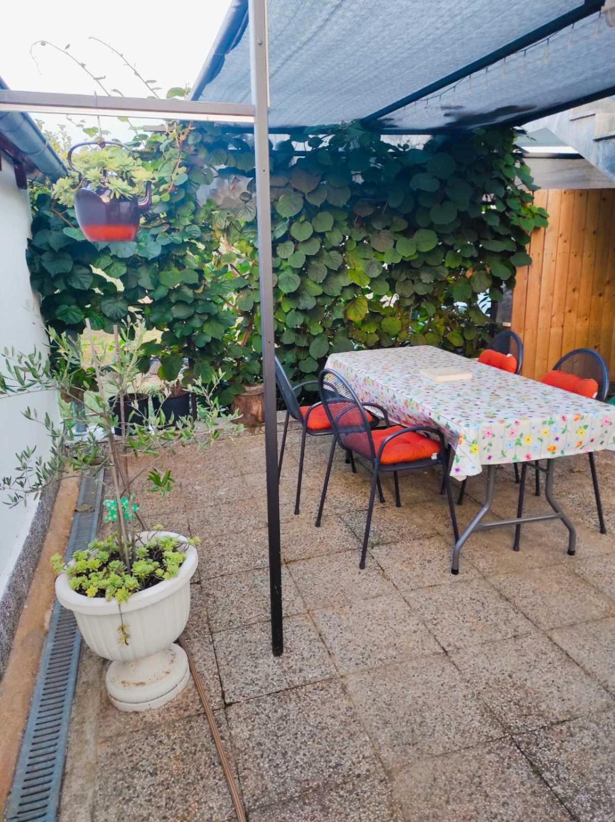 Apartman Jenny-Porec Kosinozici Exterior photo